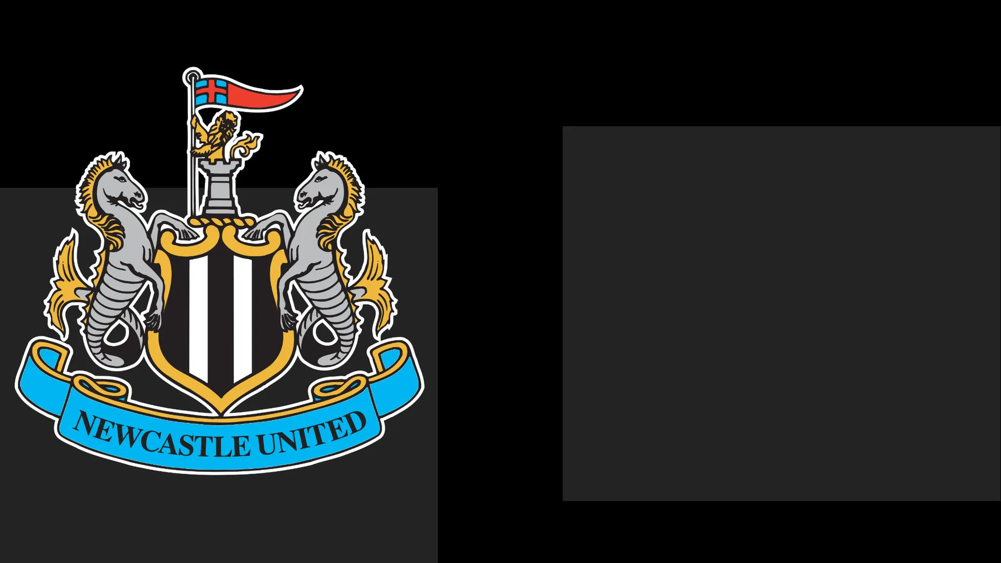 Newcastle's boss Hails Team's Heart – But It Only Takes Them This Far