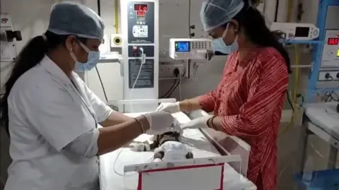 Newborn Placed Alive in India Battles for Existence